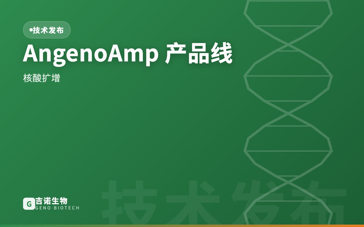 AngenoAmp 系列产品线正式发布